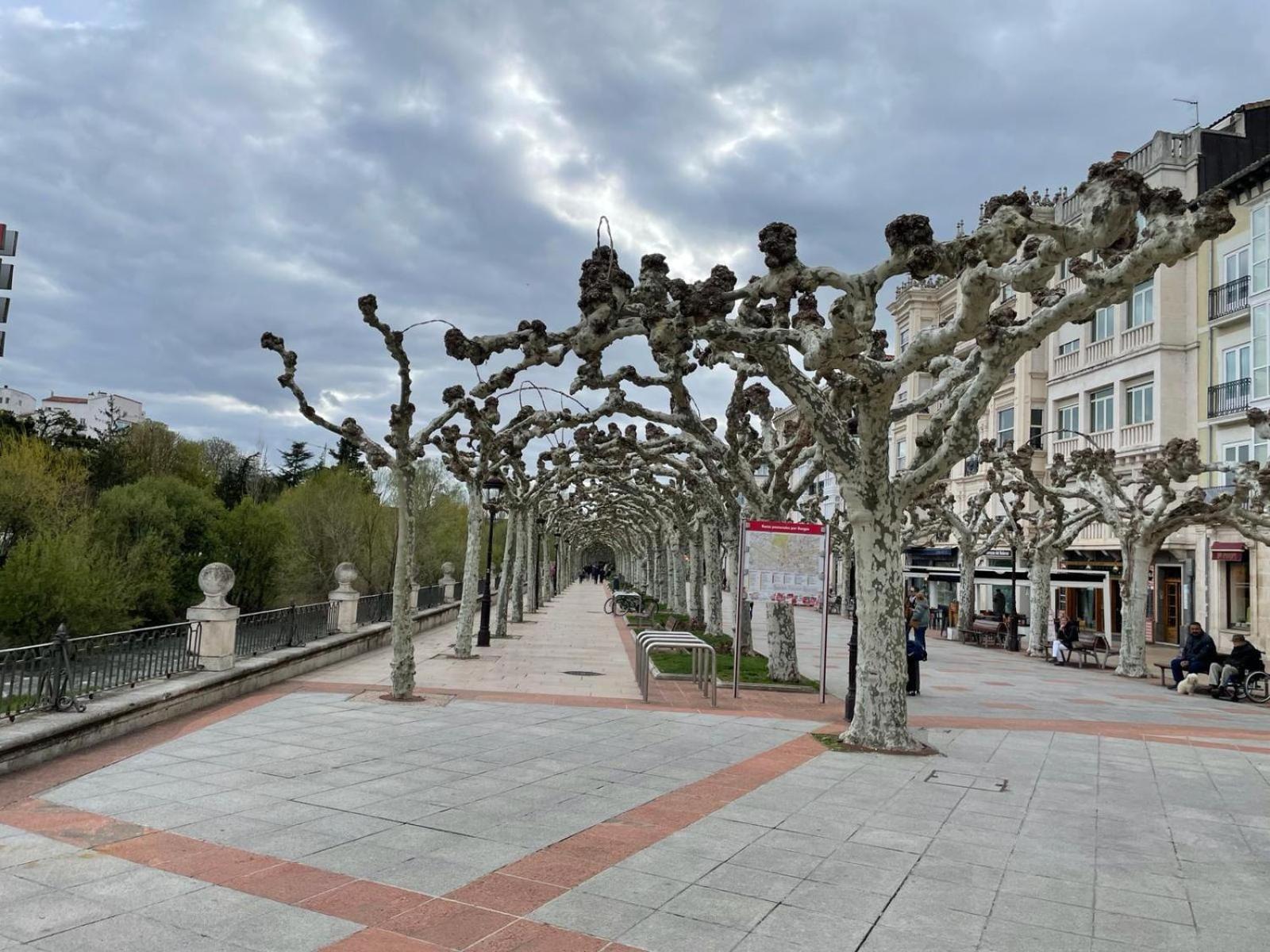 Burgo El Farolillo De La Catedral Vivienda De Uso Turistico Vut 9/251 아파트 외부 사진
